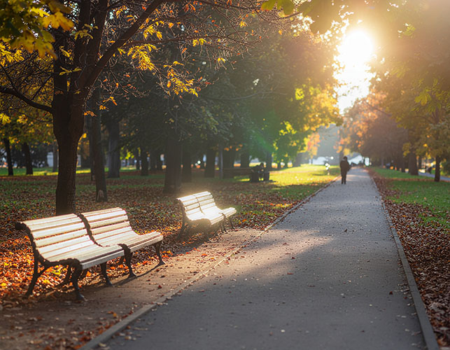 Napsütéses őszi park Budapesten, üres sétány és padok meleg színekben