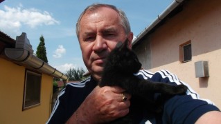 cicabarát 7. további képe