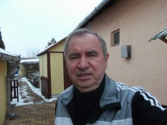 cicabarát 9. további képe