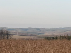 Laci 39 10. további képe