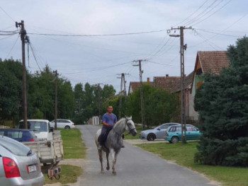 atesz0311 34 éves társkereső profilképe