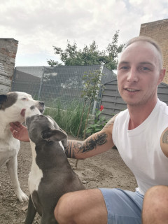 hederlaszlo 2. további képe