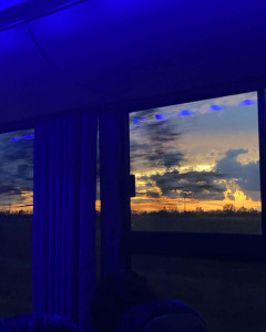 Califorication 2. további képe