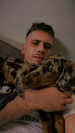 Majszi 3. további képe