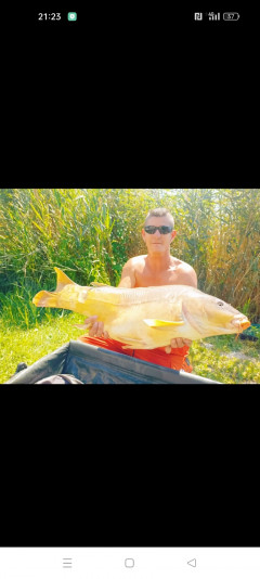 vekó 1. további képe