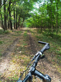 Ádám76 2. további képe