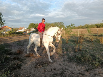 karoli 41 éves társkereső profilképe