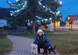 Georgyna 3. további képe