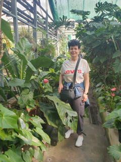 Menta 4. további képe