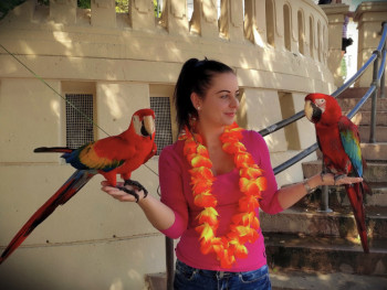 Ludo Őrsi 25 éves társkereső profilképe