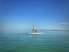 ShakeUp 2. további képe