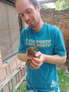 Tibor95 2. további képe