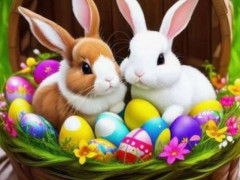 Rolletó - 49 éves társkereső fotója